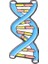 Dna Moleküler Yapısı Emaye Pin Dopamin Serotonin Beher Metal Broş Rozetleri Sırt Çantaları Çanta Şapka Üstleri Bilim Takı (Yurt Dışından) 1