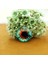 3000-982 12MM 8MM10MM12MM14MM16MM18MM20MM Yuvarlak Ejderha Kedi Gözü Cabochon Yapmak Bilezik Kolye Kadınlar Için Küpe Pimleri Broş Zanaat Kaynağı (Yurt Dışından) 1