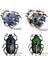 3.5 cm x 3 cm 26 Stilleri Hayvan Arı Uğur Böceği Karıncalar Kuş Salyangoz Broşlar Böcek Broş Pin Takı Ziyafet Yılbaşı Hediyeleri Aksesuarları Takı (Yurt Dışından) 5