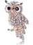 XZ0084-3 1 Adet Vintage Rhinestone Baykuş Broş Kore Trendy Güzel Kristal Kuşlar Broş Rozeti Eşarp Pin Kadın Erkek Takı Hediye Aksesuarları (Yurt Dışından) 2