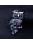 XZ0084-3 1 Adet Vintage Rhinestone Baykuş Broş Kore Trendy Güzel Kristal Kuşlar Broş Rozeti Eşarp Pin Kadın Erkek Takı Hediye Aksesuarları (Yurt Dışından) 5