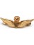 E Klasik Erkekler Broş Vintage Ikinci Dünya Savaşı Usaf Kanatları Askeri Komuta Pilotu Metal Kanatlar Metal Rozet Pin Ordu Hayranları Nostaljik Hediyelik Eşya (Yurt Dışından) 5