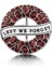 3x3 cm Eanmel Kırmızı Gelincikler Kadınlar Için Broşlar Ingiltere "lest We Forgot" Pin Anma Çiçek Apoletler Takı Hediyeler Anma Günü Için (Yurt Dışından) 5