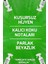 Yağmur Ormanı Kokulu Wc Kötü Koku Giderici Ultra Kalıcı Yüzey Parfümü 250ml 3