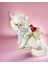Creamy Fuschia Tütülü Kedi Elbisesi, Kıyafeti Tutu 1