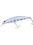 Spearhead Ryuki 110S Sw DJA0101 Zebra Glow 1