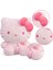 Sevimli Kitty Peluş Oyuncaklar, Yumuşak Pembe Kedi Bebek Dolması Peluş Oyuncak Kız Hayranları Için Doğum Günü Hediyeleri1 (Yurt Dışından) 3