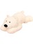 Ağırlıklı Doldurulmuş Hayvanlar, 3,3 Lbs Ağırlıklı Kutup Ayısı Doldurulmuş Hayvan Oyuncak Beyaz Ayı Ağırlıklı Peluş Hayvanlar Erkekler Kızlar Için Hediyeler Atmak, 19,6 Inç1 (Yurt Dışından) 1
