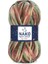 Sport Wool Şenlik 87741 El Örgü Ipi 100 Gr. 1