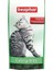 Catnıp Bits Catnipli Kedi Ödülü 1