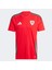 Galler Milli Takım Erkek Kırmızı Futbol Forması.- 4
