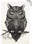 Geçici Baykuş Dövme Tattoo 1