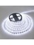 Şerit LED 12 V Dış Mekan Beyaz 5mt Bolled+Cata 1