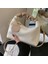 Dokulu Dikey Şerit Çanta 2024 Yeni Niş Tasarım Tek Omuz Crossbody Çanta Yabancı Stil Kadınlar Için Çok Yönlü Çanta (Yurt Dışından) 3