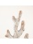 Koral Dekoratif Obje Beyaz/bej 4