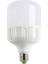 CT-4262 55 Watt Torch LED Ampul Beyaz 1