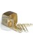 Ataş-CLIPS-H.ÇİVİSİ Cubbie Premium 28 Mm Gold 1