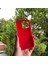 iPhone 14 Pro Kırmızı Yumuşak Silikon Kılıf 2