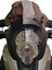 Suzuki Vstrom DL650 2017-2024 Tur Camı 6