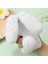 A17/A17K Tavşan Furprotection Plushcase Peluş Durumda Sonbahar Için Kılıf (Yurt Dışından) 1