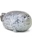 Xengo Chubby Blob Seal Yastık Peluş Hayvan Oyuncak, Gri 11.8 Inç (Yurt Dışından) 1