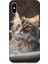 Apple Iphone X/xs Uyumlu Banyo Yapan Kedi Desenli Silikon Kılıf 1