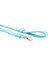 Matrix 2.0 Köpek Gezdirme Kayışı - Turquoise (L) 2