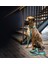 Matrix 2.0 Köpek Gezdirme Kayışı - Turquoise (L) 4