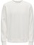 Erkek Bisiklet Yaka Sweatshirt - 22029226 1