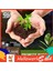 Helloworld Toprakla Etkinleştirilen Essence Kuraklığa Dayanıklı Toprakla Etkinleştirilen Hazine Aktivatörü (Yurt Dışından) 5