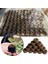 5 Adet 30MM Turba Tohumu Başlangıç Tapaları Palet Dikim Fidesi Toprak Blok - Kahverengi (Yurt Dışından) 3