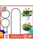 Helloworld Bitki Tırmanma Desteği Universal Pothos Hoya Tırmanma Tesisleri Destek Hissesi (Yurt Dışından) 5