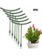 Bahçe Tesisi Destek Kafesi Çiçek Standı Tutucu Plastik Yarı Daire Bonsai Aracı Karşılaşma (Yurt Dışından) 1