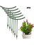 Bahçe Tesisi Destek Kafesi Çiçek Standı Tutucu Plastik Yarı Daire Bonsai Aracı Karşılaşma (Yurt Dışından) 2