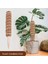 Bitki Desteği Uzatma Için 4 Paket Hindistan Cevizi Totem Direği Yosun Direği 30 cm (Yurt Dışından) 3