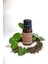 Karanfil Uçucu Yağı 13ML 1