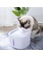 10 Adet Filtre Stili 3l 3l Kedi Çeşmesi Kedi Su Sebili Köpek Dolaşır Içme Kabı ve Filtreler Sessiz Köpek Su Sebilleri Kedi Su Fıskiyesi Besleyici (Yurt Dışından) 5
