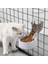 Yeşil Su Stili Sıcak Satmak Pet Kedi Besleyici Köpek Kase Asmak Can Sabit Kedi Köpek Kafesi Için Dayanıklı Yavru Yavru Otomatik Besleme Gıda Su Malzemeleri (Yurt Dışından) 5