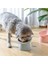 Kırmızı Stil Pet Besleme Kasesi 45 ° Boyun Koruyucu Kedi Kase Yüksek Ayak Devrilmeye Karşı Kedi Kase Kedi Köpek Maması Su Kasesi Binaural Pet Besleme Fincan (Yurt Dışından) 4