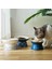 No.2 Tarzı Kaymaz Seramik Kedi Kase Besleyici Yükseltilmiş Standlı Kemik Servikal Koruma Gıda Su Kedi Kase Seramik Küçük Köpekler Pet Besleyici (Yurt Dışından) 4
