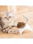 Pembe Tarzı Pet Yükseltilmiş Besleme Kabı Kedi Köpek Içme Havzası Kaymaz Düşmeye Karşı Korumalı Servikal Omurga Yavru Kedi Yavrusu Malzemeleri Cuenco Gato (Yurt Dışından) 3