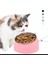 Pembe Tarzı 400 ml Kedi Malzemeleri Kaymaz Kedi Köpek Kase 15 Derece Eğimli Koruma Boyun Köpek Kediler Besleyici Crashworthiness Base Pet Bowl (Yurt Dışından) 2