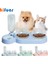Mor A Stili Pet Kedi Kase 3'ü 1 Arada Otomatik Besleyici Köpek Kedi Maması Kasesi Su Çeşmesi ile Çift Kase Içme Yükseltilmiş Stand Bulaşık Kaseleri Kediler Için (Yurt Dışından) 2