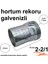 Galvenizli Hortum Rekoru 2-2/1 Su Deposu Rekoru 2.5 Parmak 2