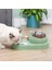Mavi Stil Kedi Köpek Kase 15 Derece Eğim Yükseltilmiş Tasarım Evcil Hayvan Mama Kaseleri 500ML Su Şişesi Kedi Için Pet'e, Içecek ve Yiyecek Kaselerini Koruyun (Yurt Dışından) 3