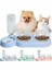 Yeşil Stil 1 Adet Kedi Maması Kase Otomatik Besleyici Su Sebili Pet Köpek Kedi Maması Konteyner Içme Yükseltilmiş Stand Bulaşık Kasesi Pet Suluk Besleyici (Yurt Dışından) 2
