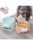 Yeşil Stil Kişiselleştirilmiş Pet Köpek Besleme Mama Kaseleri Ücretsiz Özelleştirilmiş Köpek Yavrusu Güzel Bowknot Elmas Desen Sızdırmaz Pet Besleyici Tedarik (Yurt Dışından) 3