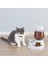 Pembe Tarzı 2.2l Otomatik Pet Kedi ve Köpek Besleyici Köpek Su Içme Kabı Kedi Besleme Besleyici Büyük Kapasiteli Kedi Köpek Dispenseri WJ10 (Yurt Dışından) 3
