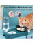 Stil2 Yeşil Stil Otomatik Içme Çeşmesi Dikey Pet Köpek Kedi Maması Konteyner Plaka Çift Kase Besleyici Içme Şişesi Comedero Gato (Yurt Dışından) 2