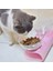 Siyah Tek Stil Kaymaz Çift Kedi Kase Köpek Kase Standlı Pet Besleme Kedi Su Kasesi Kediler Için Mama Köpekler Için Pet Kaseler Besleyici Ürün Malzemeleri (Yurt Dışından) 2